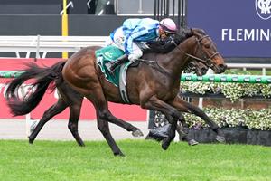 TRUE REBEL ANNOUNCES HIMSELF AS DERBY CONTENDER